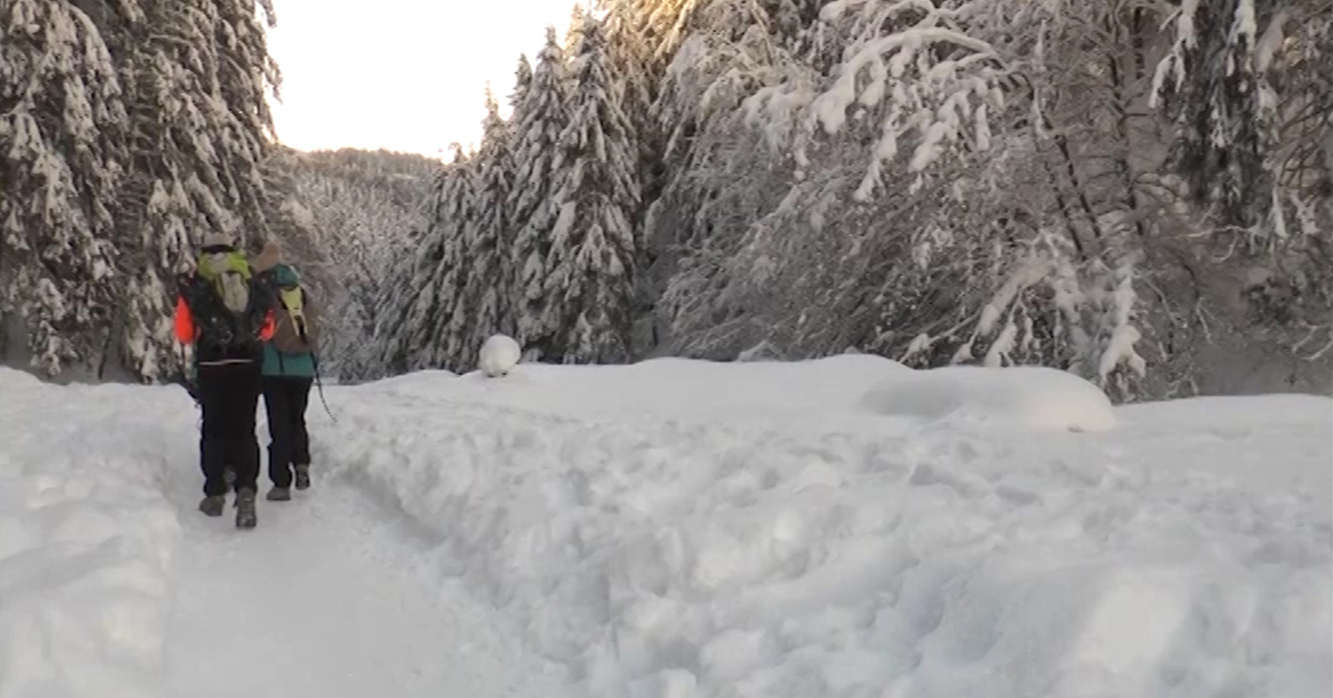 La montagna innevata e nuove regole